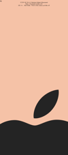tmb_appldck_d_orng
