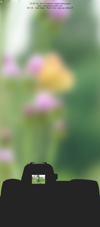 tmb_cameradck_butterfly