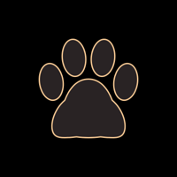 cat_border_11_gold_lock_tmb