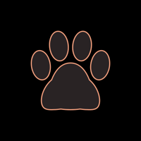 cat_border_11_orange_lock_tmb