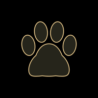 cat_border_11_yellow_lock_tmb