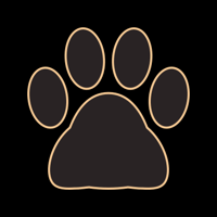 cat_border_12p_gold_lock_tmb