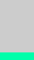 color_dock_l_10_mint_tmb