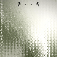 dynamic_bug_tmb_16pro