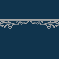 floral_border_2_12p_navy_graphite_double_tmb