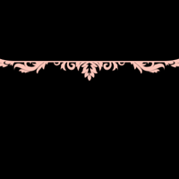 floral_border_13_pink_tmb