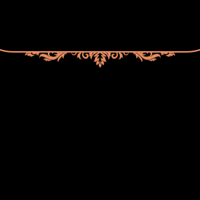 floral_border_2_orange_tmb