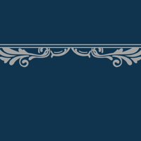 floral_border_2_11pro_navy_graphite_double_tmb