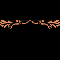floral_border_2_pro_double_orange_tmb