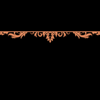 floral_border_2_pro_orange_tmb