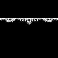 floral_border_2_pro_white_tmb