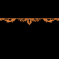 floral_border_max_orange_tmb