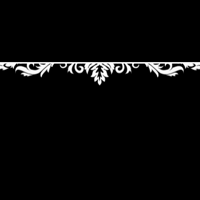 floral_border_max_white_tmb