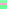 full_screen_wallpaper_with_accent_green_rose