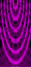 light_max_flower_tmb
