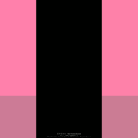 painter_3_rose_gold_tmb