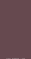 plain_mini_lock_bordeaux_tmb