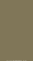 plain_mini_lock_brass_tmb