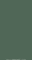 plain_mini_lock_green_tmb