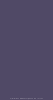 plain_mini_lock_violet_tmb
