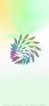 pretty_2_rainbow_feathers_tmb