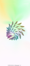 pretty_r_rainbow_feathers_tmb