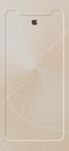 privacy_3d_border_11_gold_lock_tmb