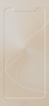 privacy_3d_border_11pro_gold_home_tmb