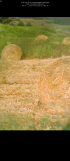 tmb_retrodck_harvest