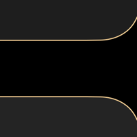 separate_border_11pro_gold_tmb