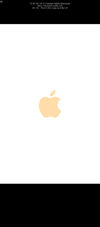 tmb_stlsretrodck_orange