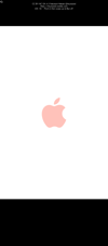 tmb_stlsretrodck_pink
