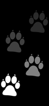 stepping_footprints_dog_white_tmb
