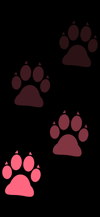 stepping_footprints_dog_red_tmb