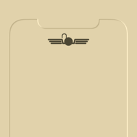 variety_lock_3_12max_wingedsun