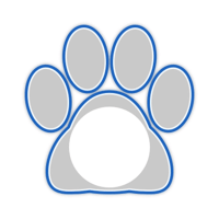 white_cat_border_11max_blue_lock_tmb
