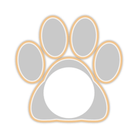 white_cat_border_11max_gold_lock_tmb