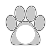 white_cat_border_11max_gray_lock_tmb