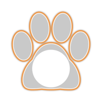 white_cat_border_11max_orange_lock_tmb