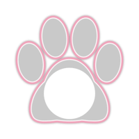 white_cat_border_11max_pink_lock_tmb