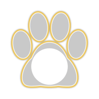 white_cat_border_11max_yellow_lock_tmb