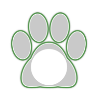 white_cat_border_11pro_green_lock_tmb