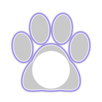 white_cat_border_11pro_purple_lock_tmb