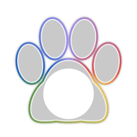 white_cat_border_11pro_rainbow_lock_tmb