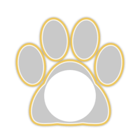 white_cat_border_11pro_yellow_lock_tmb