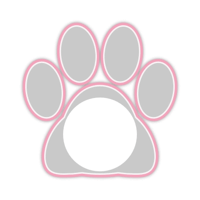white_cat_border_12mini_pink_lock_tmb